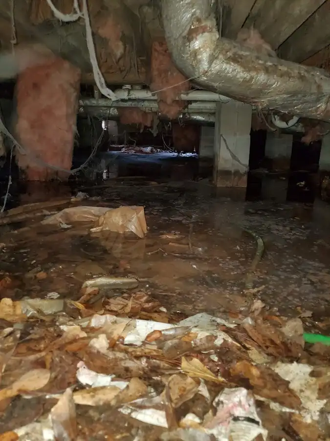 Crawl space flood assessment for Commercial Water Damage Restoration in Nassau Bay