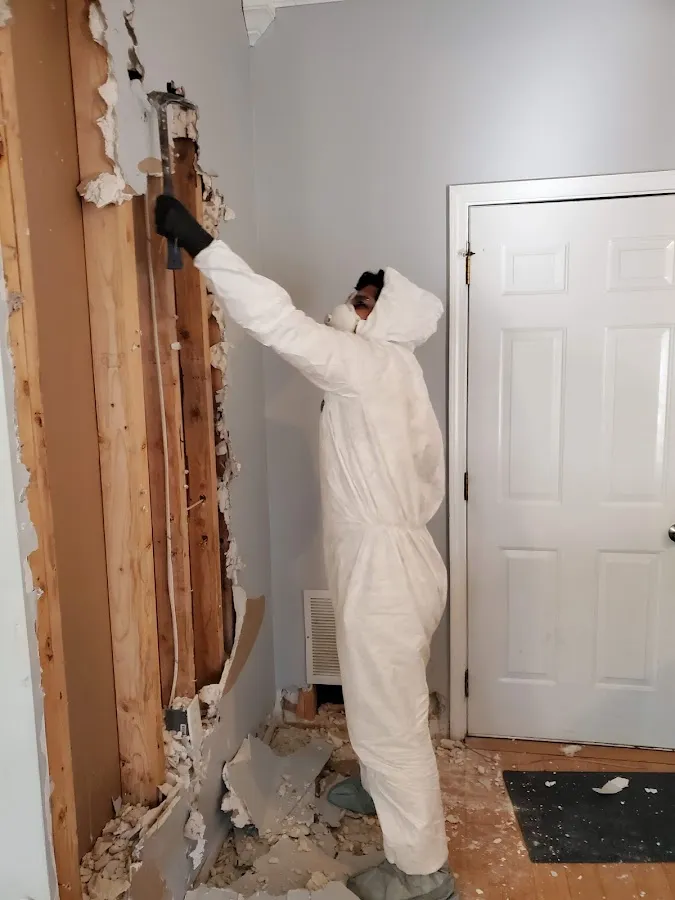 Water Damage Restoration services in Nassau Bay, TX